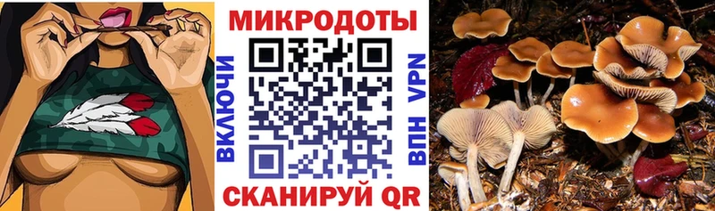 Псилоцибиновые грибы GOLDEN TEACHER Плавск