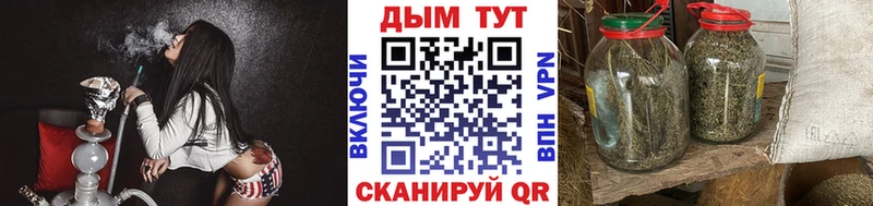 Конопля план Плавск